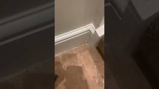 Man Found a Bat Attached to Fire Coal Shovel