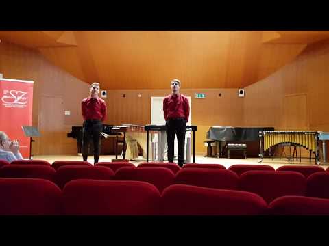 Marimbazzi - "Purity 2" by Tomasz Goliński (In the "Salieri-Zinetti" Competition Final)