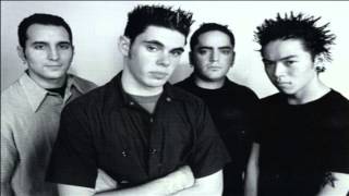 Slick Shoes - Bounce