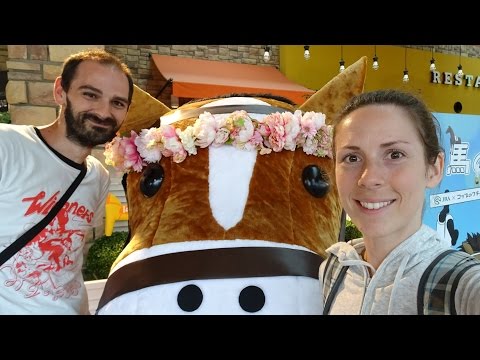 The Japan Derby! | May 29, 2016 | 日本ダービー