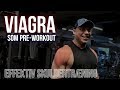 Viagra som pre-workout? WTF?! | En skuldertræning som giver et helt vanvittigt pump!!