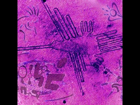 Djmohm - Kolibri du matin (2012)