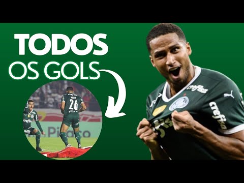 TODOS OS GOLS DO MURILO PELO PALMEIRAS