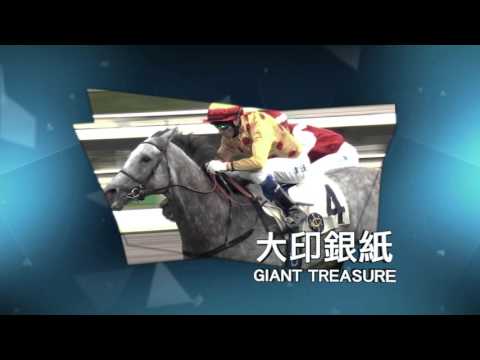 2016  Stewards’ Cup-31 January