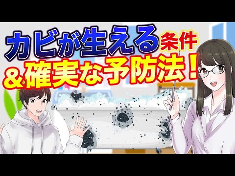  SOS: 苗にカビが発生しました!彼らを救えるでしょうか？やり方は？  庭園