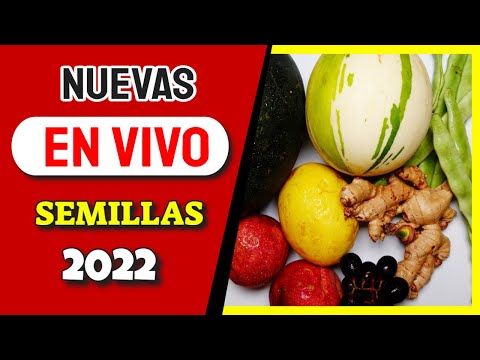 , title : '🔴👉Estamos en la MEJOR ÉPOCA para juntar semillas para el 2022!!!!'
