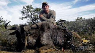 Blue Wildebeest Bow Hunt with Quinton De Kock | John X Safaris, Part 3