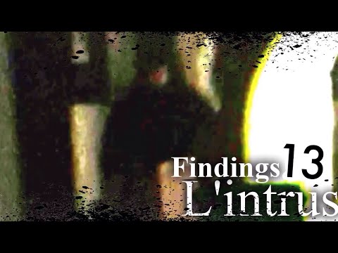 L'affaire u/skina555 - Findings N°13