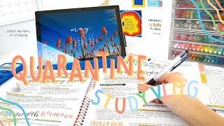 quarantine study vlog (im stressed) 🤯