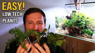 Transform Your Aquarium with these EASY Plants!