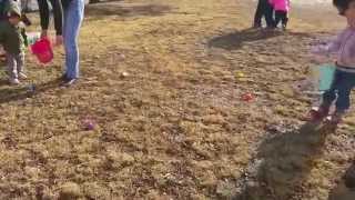 preview picture of video 'Easter Egg Hunt, Tamaqua Knights of Columbus, Seek, Coaldale, 4-4-2015'