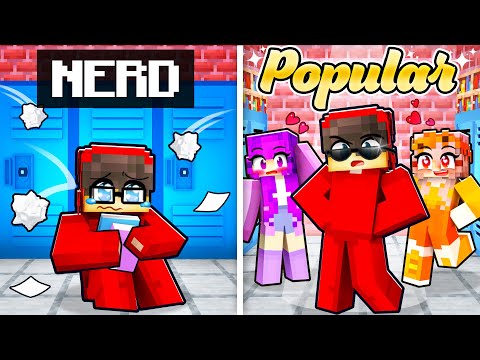 From NERD to POPULAR in Minecraft!