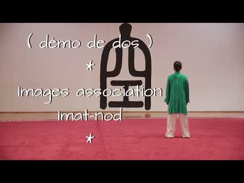 Maître Renping Goarzin - Taijiquan Wu 37 (dos)
