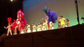 samba pantyhose collant ムレムレパンスト