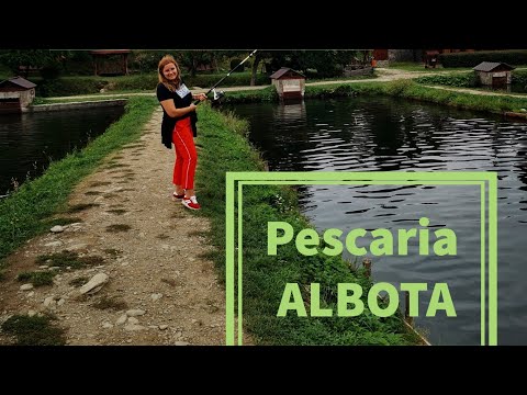 Ne-au tras păstrăvii țeapa la poalele Transfăgărășanului- Pescaria Albota 🐟pescuiești ce cumperi🐠