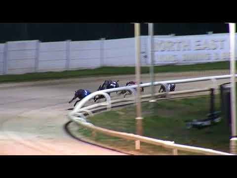 2017 WILLIAM HILL ANGEL OF THE NORTH - HEAT 2 - T2 THORNWICK LASS