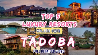 Top 5 Luxury Resorts kolara Tadoba 🐅 Full detailed Video #luxury #luxuryresorts #tadoba #hotels