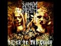 Napalm Death - Continuing War on Stupidity + Lyrics