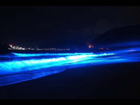 光の波プロジェクトin水晶浜2025