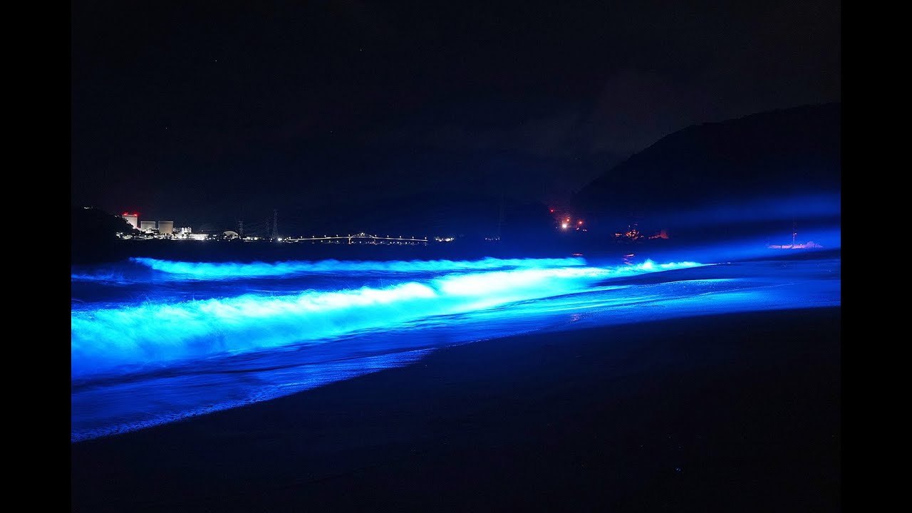 光の波プロジェクトin水晶浜2025