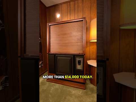 The Super Rare Trinitron Projection TV