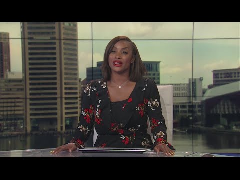 Ledo Pizza In Charles Village Shut Down For Rodents; 'Unsanitary Conditions', Expired Food License