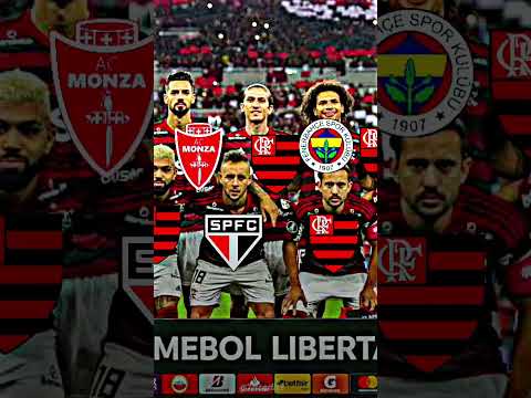 TIME DO FLAMENGO 2019 🥺💔 #shorts....