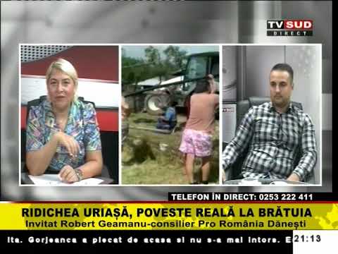 Ora Adevarului 16.08.2021   Ridichea uriașă, poveste reală la Brătuia