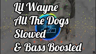 Lil Wayne - All The Dogs | Slowed &amp; Bass Boosted