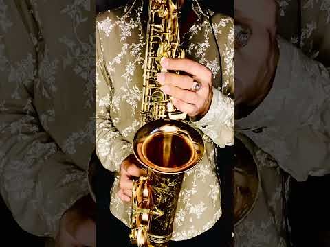 Deniska a Evka - Savana (SAX cover by OppositeMus)