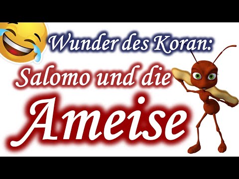 Mohammeds Wunder des Islam im Koran - Salomo, der fliegende Teppich und die Ameise
