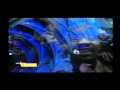 GRAVEDIGGAZ Feat KILLAH PRIEST SHABAZZ THE DISCIPLE Diary Of A MadMan Uncensored