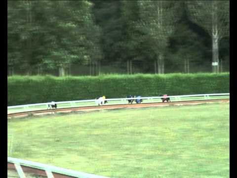 Czech Derby 3rd semifinal - 2011