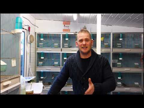 Yellowhammers Brambles and Chaffinches Episode 9