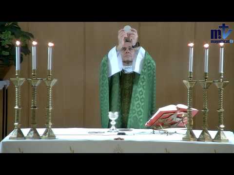 La Santa Misa de Hoy | Domingo XXII del Tiempo Ordinario (30-08-2026) | Pbro. Javier Martín, FM