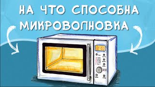 Микроволновая печь и ее невероятные способности - видео онлайн