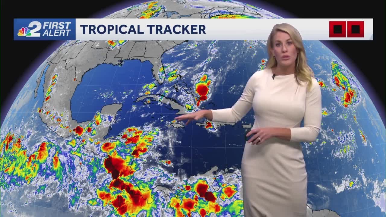 Tropical system could move into Gulf of Mexico next week