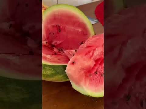 Kamily a Blogueirinha da Roça!