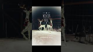 City of Silver Dreams