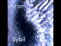 MNMT 402  : Sybil