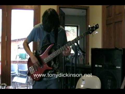 Primus - Wynona's Big Brown Beaver (Bass Cover)