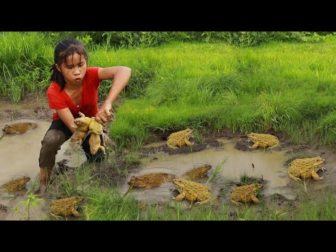 Survival skills- Catch frog in rainforest for food- Cooking frog soup for tasty eating delicious