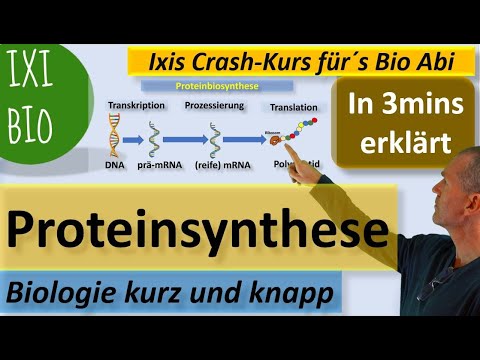 Protein biosynthesis explained in 3 minutes (Transcription Translation) Biology in a nutshell