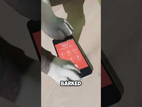 These Dogs Saved People One Even Called 911! 😱