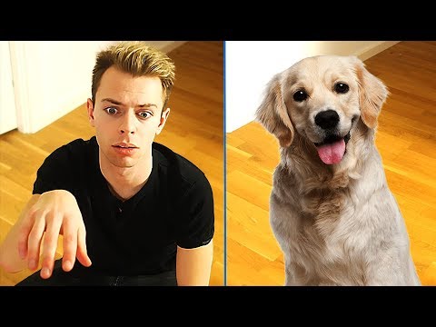 HVIS JEG VAR EN HUND (Lørdag med Morten)