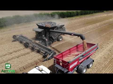 Harvest 2020. Taster Of What's To Come