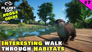 Walk Through Habitats & Multi-Level Guest Building Design! | Planet Zoo Beginner