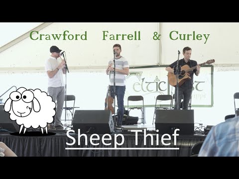 Sheep Thief