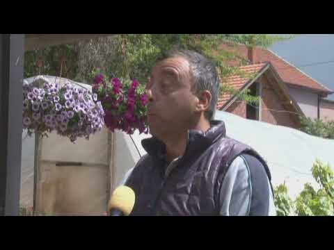 Ukljucenje u Jutarnji program Prica o cvecu /  RTV Vranje  /21 5 2021