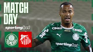 QUARTAS DE FINAL! BOLETIM PRÉ-JOGO DE PALMEIRAS X CAPIVARIANO